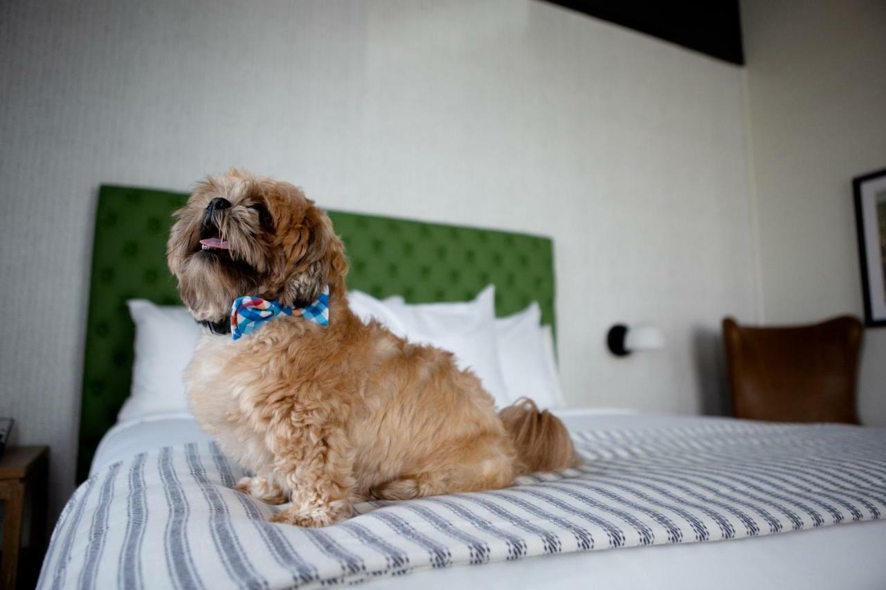 ออริจิน โฮเทล เล็กซิงตัน Hotel เลกซิงตัน ภายนอก รูปภาพ